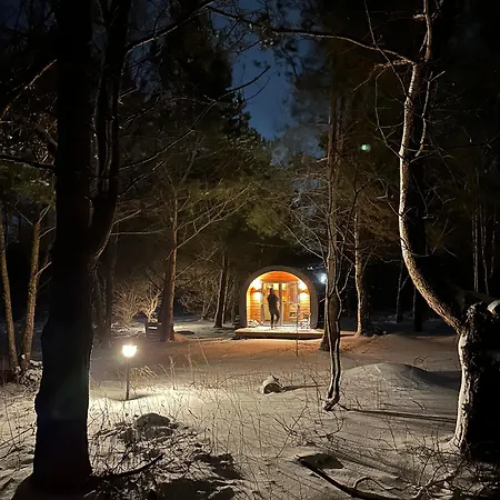 Leśna Sauna Wilcze Wzgórze *