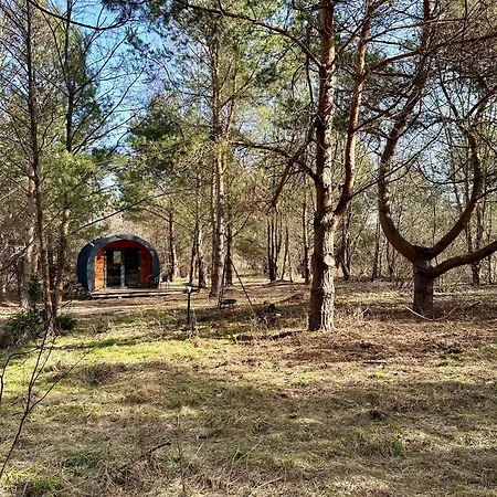 Leśna Sauna Wilcze Wzgórze *