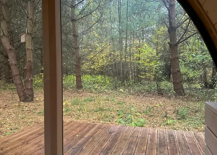 Leśna Sauna Wilcze Wzgórze